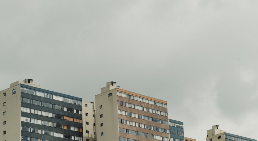 부동산 정보