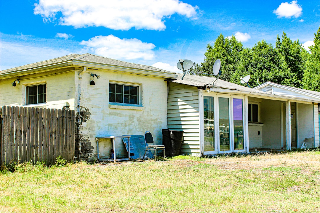 부동산 정보