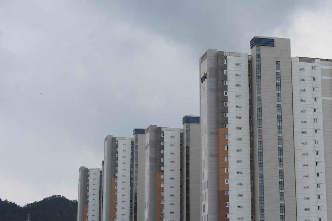 부동산 정보